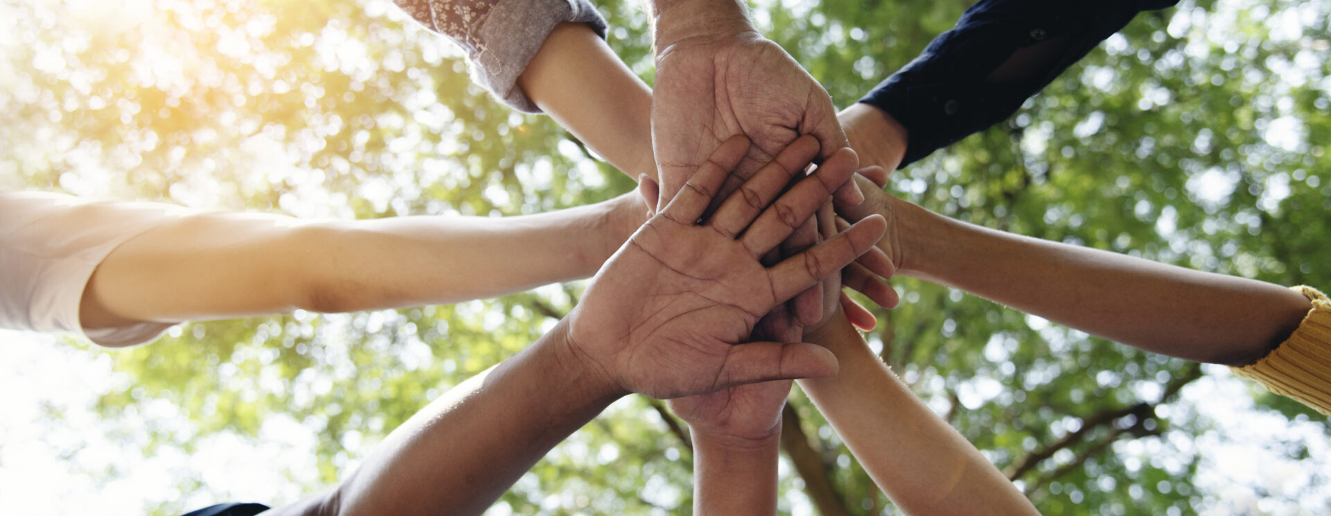 8 mains jointes vues de dessous. Au-dessus il y a des arbres et le temps est ensoleillé